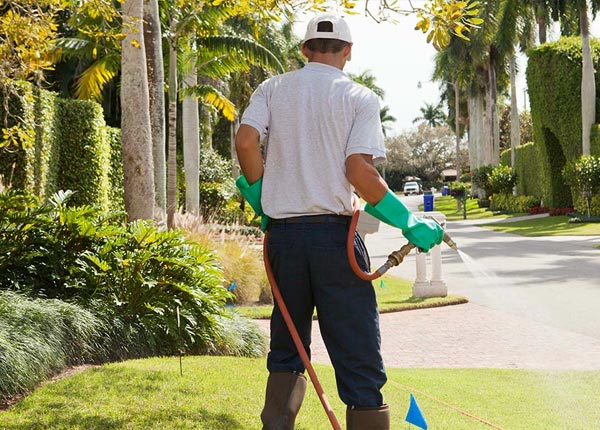 About Baptistown NJ Pest Control Pros